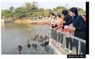 百炼成钢是什么生肖？百炼成钢打一准确动物