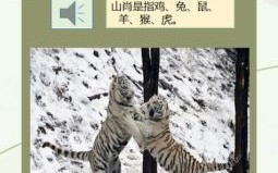 北肖是什么生肖？北方的动物是什么生肖