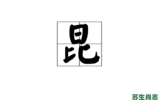 昆是什么生肖？昆的意思是什么