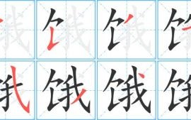 饿指的是什么生肖？饿指什么数字