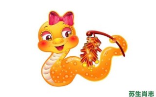 夜里行动是什么生肖？夜里行动最正确的动物