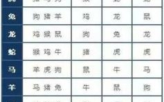 替人垂泪是什么生肖？流泪代表什么生肖