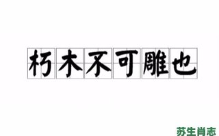 朽木不可雕是什么生肖？朽木不可雕换一句说法