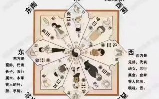 一运二命三风水到底是指哪个生肖？2026年你的运势和风水该如何布局调整？