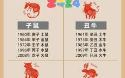 生肖属木的是什么生肖？12生肖什么属木