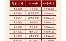 合作是什么生肖？合指什么生肖