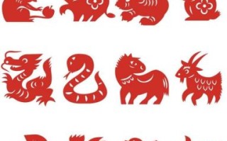 雷的生肖是什么？雷肖有哪些生肖