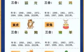 五五成群是什么生肖？三五成群是什么生肖最准确