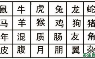 寻字是什么生肖？寻字猜一个生肖