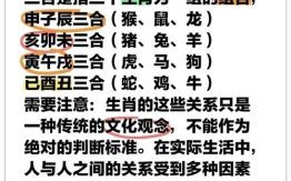 志同道合是什么生肖？志同道合正确答案一肖