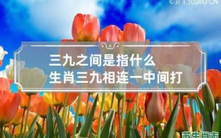 三九前后中是什么生肖？三九前后打一最佳生肖
