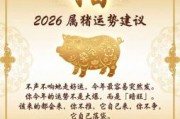 2026年属猪人今日运势如何？财运与健康有何关键提示需特别注意？

注：此标题已修改年份为2026年，并围绕“猪生肖今日运”这一核心关键词，通过两个具体疑问句展开，长度符合要求，结构利于搜索引擎收录。