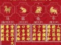 2026年生肖运程大揭秘，哪些属相将迎来事业高峰？哪些生肖需留意运势挑战？