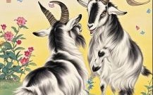马羊相守是什么生肖？马羊相守打最佳一肖