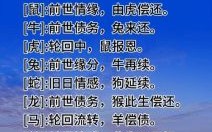 一朝如龙一朝凤是什么生肖？一朝如龙一朝凤正确答案