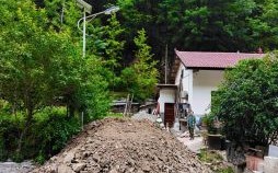 船到桥头自然直是什么生肖？船到桥头打一准确生肖