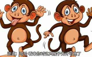 杀鸡做猴是什么生肖？杀鸡儆猴打一动物生肖