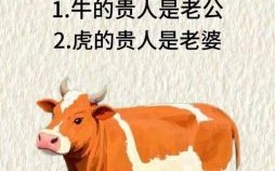 长身背而短是什么生肖？长身背短打一精准生肖