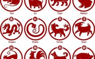 莫失良机是什么生肖？莫失良机最准确生肖