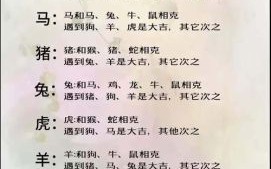 今期生肖住门庭是什么生肖？十二生肖中谁是住门庭