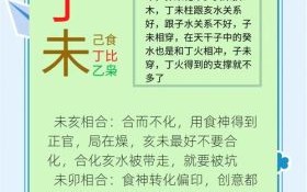 丁未是什么生肖？丁未日是属什么