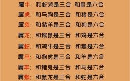 地是什么生肖？地打正确一个生肖