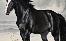 属马上面是什么生肖？上是生肖下是马打一数字