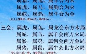 千年修练是什么生肖？千年修炼打一准确动物