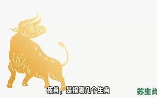 夜不能寐的动物是什么生肖？夜不能寐一生肖