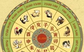 十二生肖从它来是什么生肖？12生肖从它来打一准确生肖