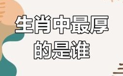 厚道是什么生肖？厚道打一肖正确答案