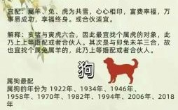 猪狗不如是什么生肖？狗猪不如打一准确生肖