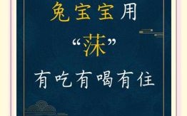莯是什么生肖？婊孑打一最佳生肖