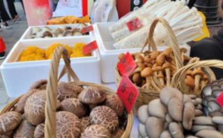 一斛凉州是什么生肖？一斛凉州打一最佳答案