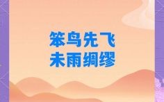 笨鸟先飞是什么生肖？笨鸟先飞打一最佳动物