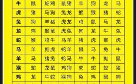 差是什么生肖？靠正确答案打一生肖