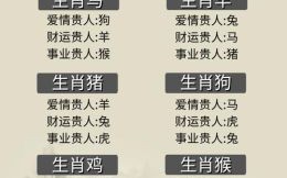 见了大官叫舅高攀是什么生肖？12生肖是大哥代表什么生肖