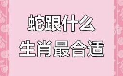 鸡左猪右是什么生肖？鸡左猪右蛇通灵正确一肖