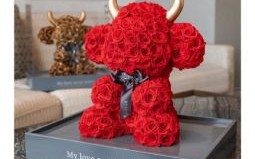 玫瑰花是什么生肖？玫瑰花打一准确动物