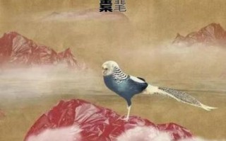 姮是什么生肖？刘克庄是什么生肖