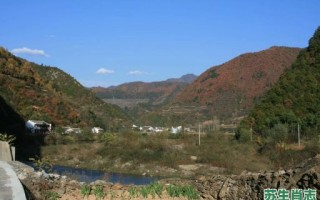 高山峻岭是什么生肖？高山峻岭打一动物