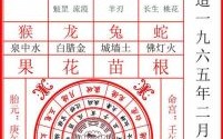 乙是什么生肖？乙指一个正确生肖