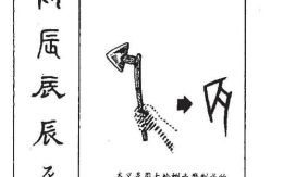 辰是什么生肖？辰字打一准确生肖