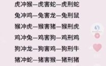 骂狗打鸡猪在笑是什么生肖？骂狗打鸡猪最正确一肖
