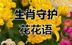 十二生肖是什么花？花指什么生肖