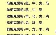 隔是什么生肖？隔代表什么动物