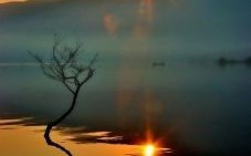 夕阳是什么生肖？夕阳打一个最佳生肖