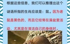 九洲是什么生肖？四海九洲打一最佳动物