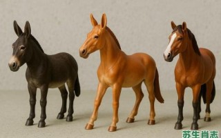 长长耳朵短尾巴是什么生肖？尾巴短短的动物打一生肖