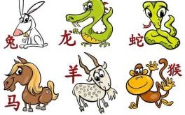 捣蛋是什么生肖？调皮捣蛋的动物指什么生肖